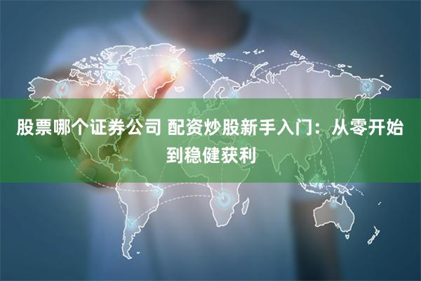 股票哪个证券公司 配资炒股新手入门：从零开始到稳健获利