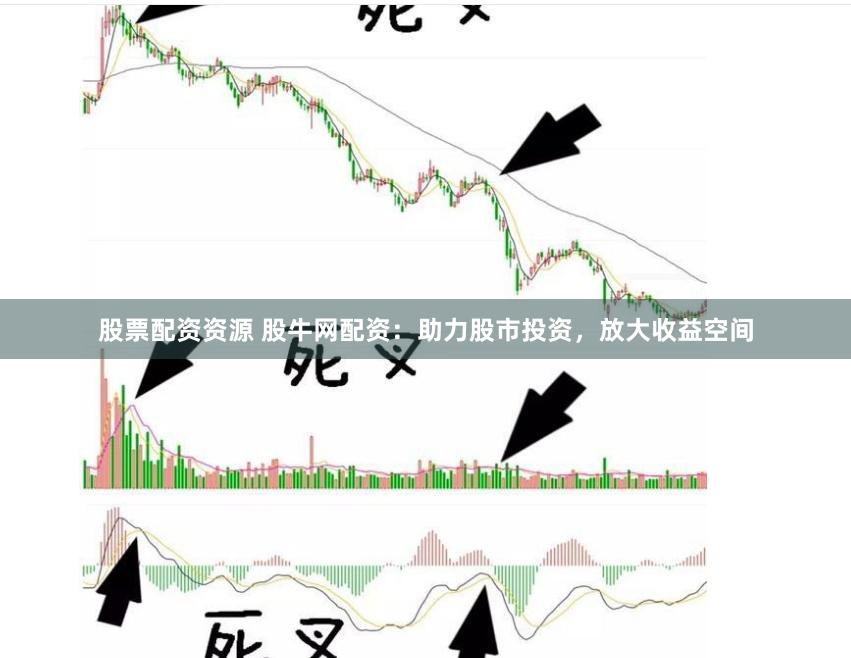 股票配资资源 股牛网配资：助力股市投资，放大收益空间